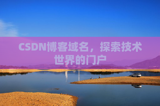 CSDN博客域名，探索技术世界的门户